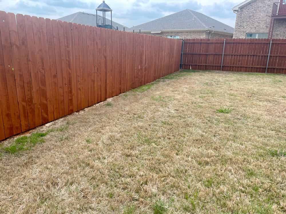 Fence Staining image