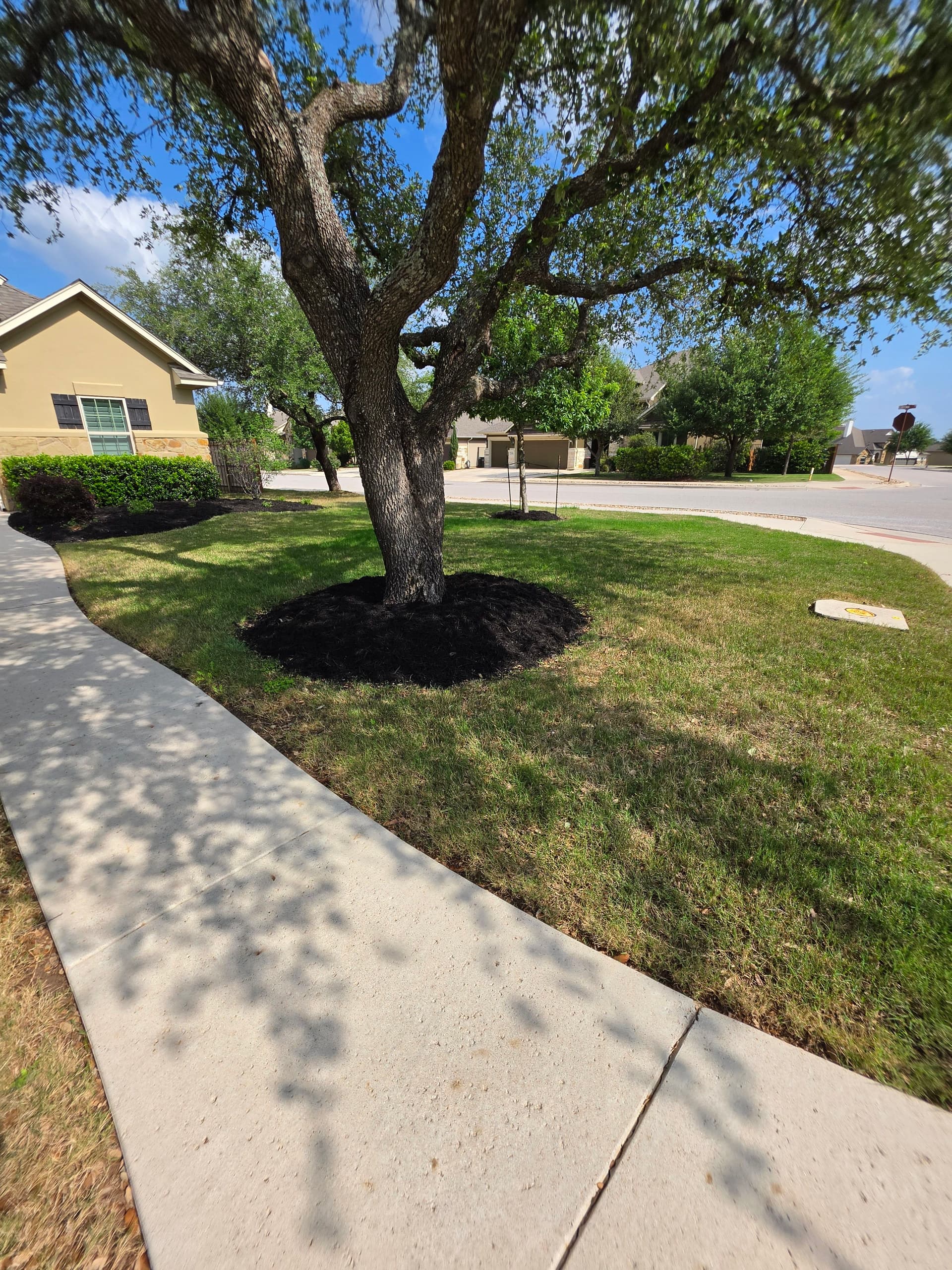 Gallery photos for Fresh Mulch Install That Gets a Home Market-Ready Fast: Image #4