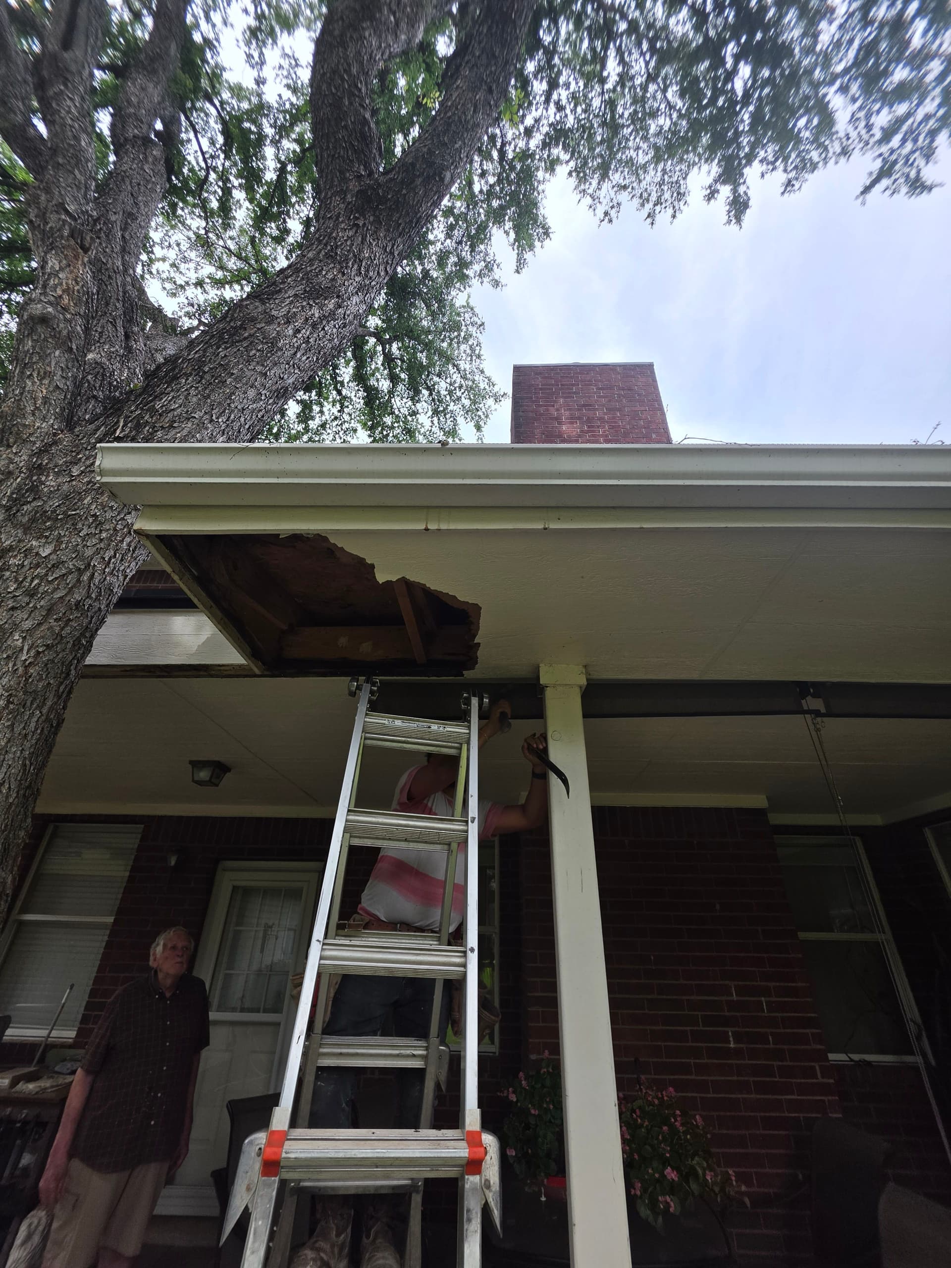 Gallery photos for Soffit and Fascia Repair Done Right Before Gutter Installation: Image #3