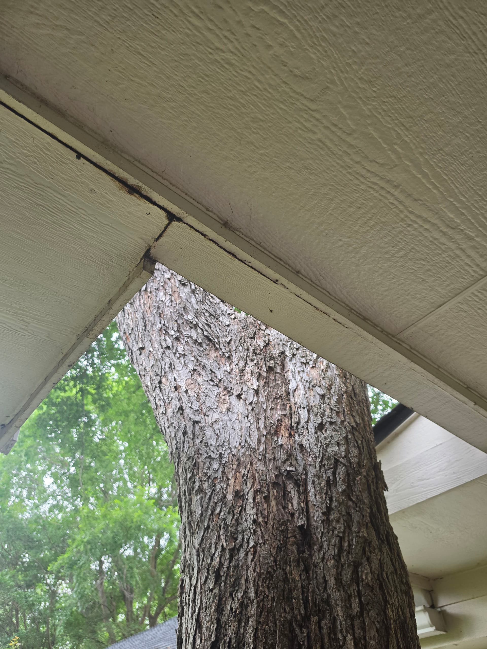 Gallery photos for Soffit and Fascia Repair Done Right Before Gutter Installation: Image #4