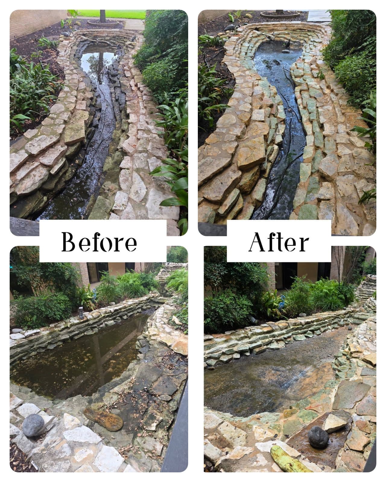 Eco-Friendly Pond Transformation by Roman's image